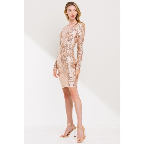 Rose Gold Sequins Sheer Mini Dress - Picture 6 of 7